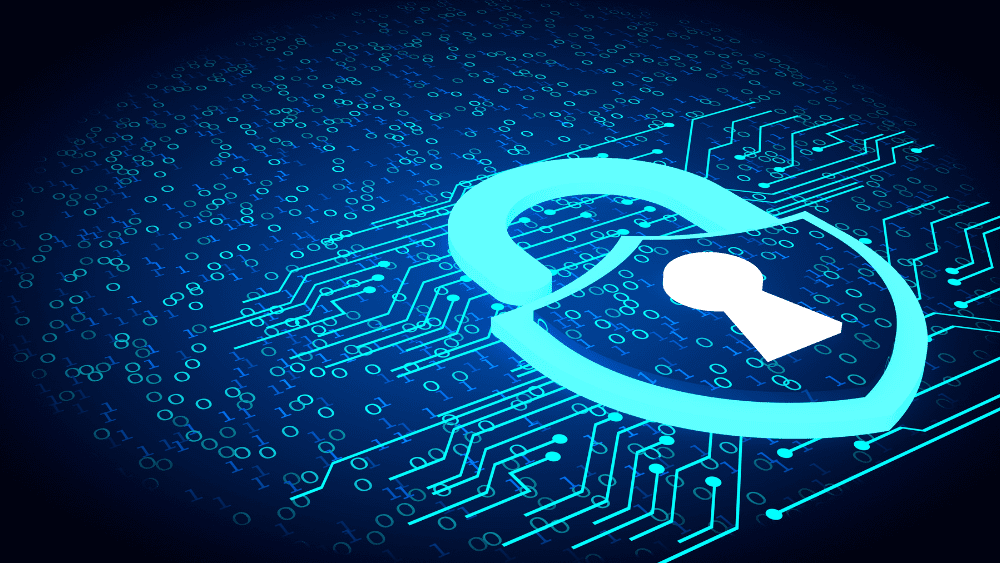 Matnet Is It Worth Paying for Data Recovery?